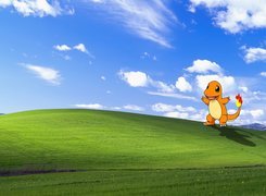 Windows, XP, Pokemon