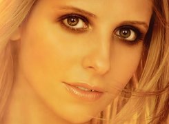 Sarah Michelle Gellar, Twarz