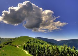 Pola, Lasy, Góry, Łąki