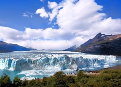 Argentyna, Lodowiec, Perito Moreno, Góry, Drzewa, Park Narodowy Los Glaciares