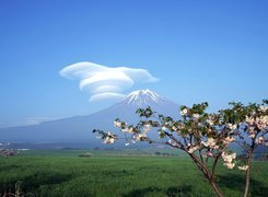 Góra, Fuji, Fantazyjna, Chmura