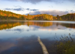 Jezioro, Drzewa, Jesień