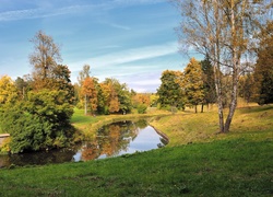 Park, Drzewa, Rzeczka, Alejka, Jesień