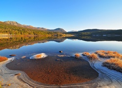 Jezioro, Drzewa, Kamienie