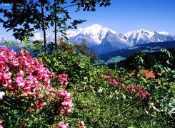 Góry, Mont Blanc, Francja