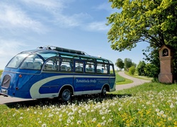 Autobus, Droga, Łąka, Kapliczka