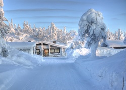 Droga, Domek, Drzewa, Śnieg