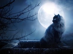 Kot, Komin, Noc, Księżyc, Drzewa