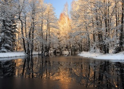 Rzeka, Śnieg, Drzewa