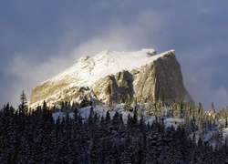 Góry, Las, Śnieg
