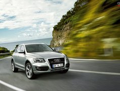 Srebrne, Audi Q5, Droga