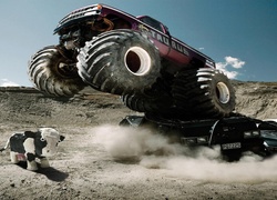 Krowa, Monster Truck