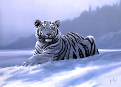 Zima, Biały, Tygrys, Obraz