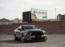 Ford Mustang, Shelby