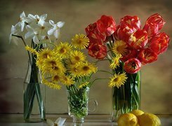 Bukiet, Tulipanów, Narcyzy, Margerytek, Cytryny