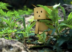 Danbo, Trawa, Kamienie