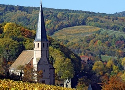 Kościół, Pola, Drzewa