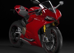 Ducati 1199 Paginale