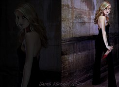 Sarah Michelle Gellar, Kakrwawiony kołek