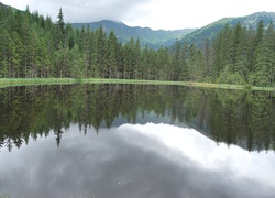 Góry, Tatry, Staw Smreczyński