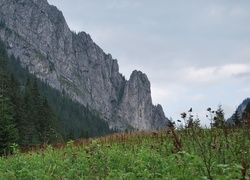 Tatry, Dolina Kościeliska, Szczyty