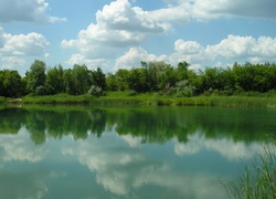 Jezioro, Drzewa, Zieleń