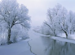 Rzeka, Drzewa, Śnieg, Mróz