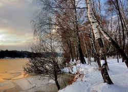 Brzozy, Śnieg, Rzeka, Kra