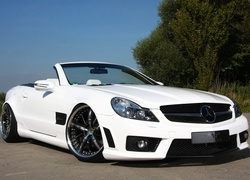 Mercedes SL R230