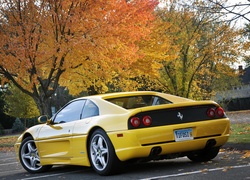 Ferrari 355 F1 Berlinetta, Plac, Drzewa