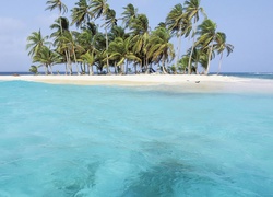 Wyspa, Palmy, Morze, Fale