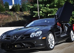 Mercedes Benz SLR McLaren, Ulica, Drzewa