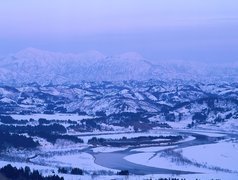 Śnieg, Zaspy, Mróz, Las