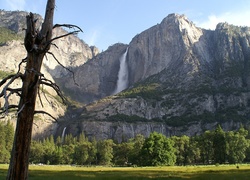 Stany Zjednoczone, Stan Kalifornia, Park Narodowy Yosemite, Drzewa, Łąka, Góry