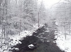 Rzeka, Kamienie, Las, Śnieg