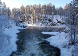 Rzeka, Drzewa, Śnieg