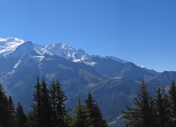 Góry, Wysokość, Śnieg, Las
