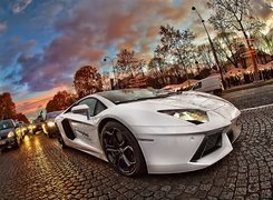 Lamborghini Aventador, Droga, Bruk