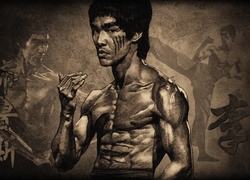 Bruce Lee, Rysunek