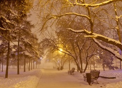 Zima, Park, Ławki