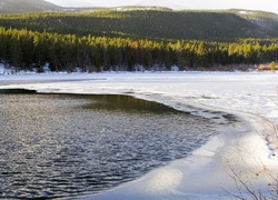 Las, Lód, Śnieg, Jezioro