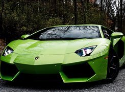 Zielony, Lamborghini Aventador