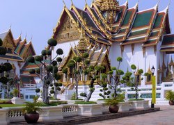 Bangkok, Pałac, Ozdobne, Drzewa