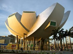 Singapur, Palmy, Fontanna,  Muzeum ArtScience Museum
