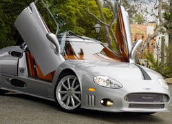 Spyker C8 Aileron, Plac, Drzewa