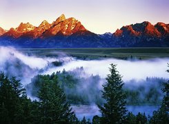 Stany Zjednoczone, Stan Wyoming,  Park Narodowy Grand Teton, Góry Teton Range, Mgła, Las