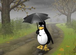 Pingwin, Parasol, Droga, Linux