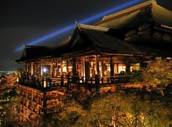 Kioto, Dom, Drzewa