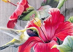 Kwiat, Koliber, Art