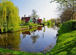 Staw, Domki, Drzewa, Trawa